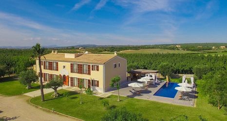 기타 2 Finca S Hort De Conies