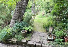 기타 5 15th Century 3 Bedroom Cottage & Delightful Garden