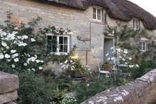 기타 15th Century 3 Bedroom Cottage & Delightful Garden