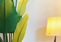 Others 7 Simplicity by Snooze