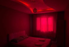 その他 6 Lotus Apart Otel