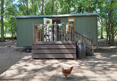 其他 Little Greenwood Shepherd Hut - Sleeps 2