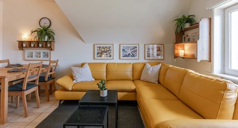 기타 2 BE DEH Koni 43-13 in De Haan