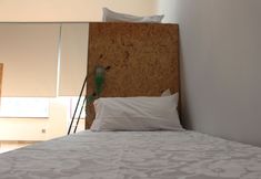 其他 3 Hostel Pia do Urso