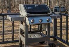 其他 5 Lexie by Summer Rustic Chic Cabin