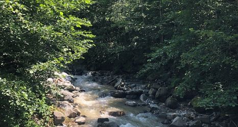 Lain-lain 2 AYDER ÇALIKUŞU BUNGALOV