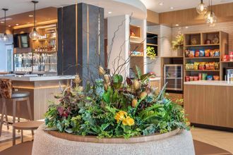 其他 4 Cambria Hotel Pigeon Forge