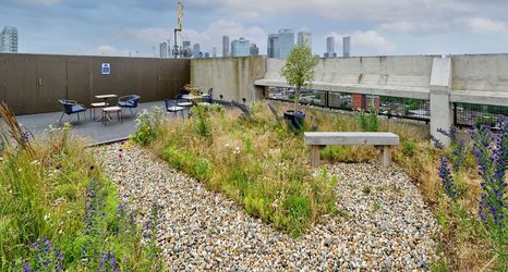 Others 2 Striking One-bedroom Apartment Vibrant Poplar