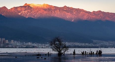 その他 2 Spirited Silky Inn