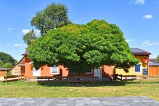 Others Ferienwohnung am Oase am Vilzsee