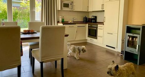 Others 2 Ferienhaus Muritzzeit in Robel an der Muritz