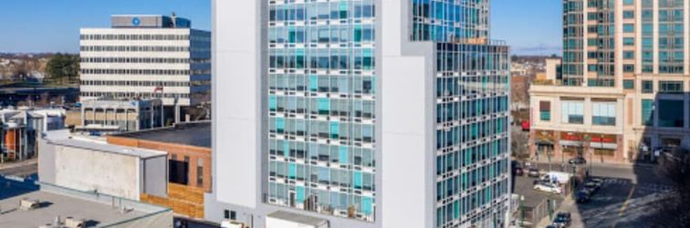 其他 The Standard - STR-1207