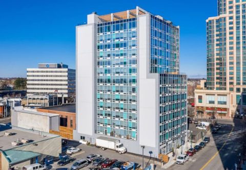 其他 The Standard - STR-1207