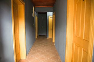 その他 4 Soul Green