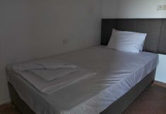 その他 7 Soul Green