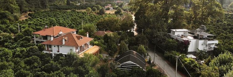 その他 Soul Green