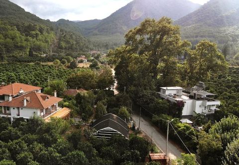 その他 Soul Green