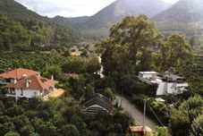 その他 Soul Green