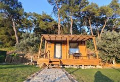 其他 4 TİNY MİNİ HOUSE