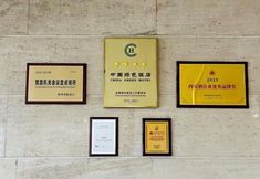 Others 7 Shaanxi Iron and Steel Building