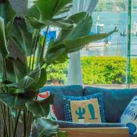 Lobby lounge 1 Shuanglang Ziyan Zhuangyuan Inn, 洱源県 ホテル