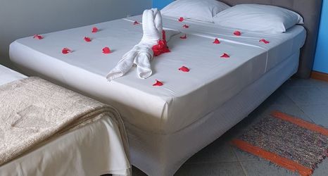 其他 2 Pousada Sereia Dourada