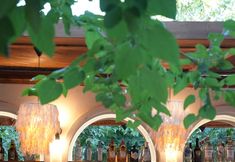 Others 4 Pietra Social House