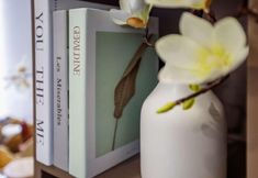 Others 5 Songguo Hotel (Wenhua Road)