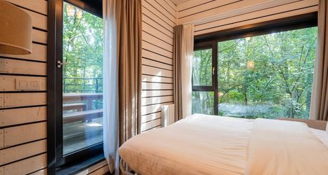 기타 2 Lushwood Forest Escape