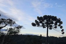 Others Chalés Vila do Moinho