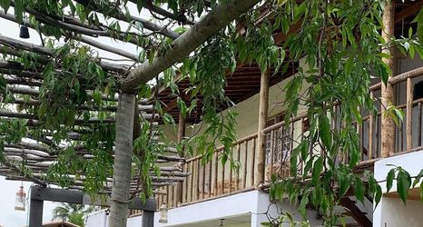 其他 2 Chalés Xié