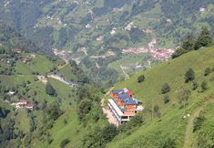 其他 2 The Reo's Suit