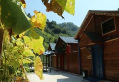 其他 6 The Reo's Suit