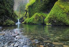 其他 2 Under Canvas Columbia River Gorge