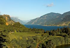 其他 4 Under Canvas Columbia River Gorge