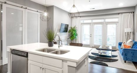 อื่นๆ 2 Luxury Apartment Near Emory Hospital University