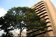 其他 Hotel Cuarta Avenida