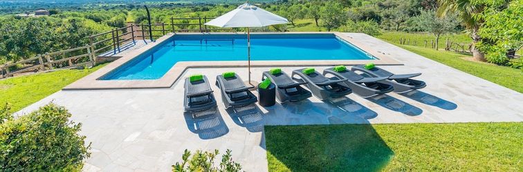 その他 Sa Roca Blanca in Felanitx