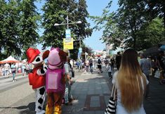 その他 2 Holiday Complex With the Pool in Miedzyzdroje