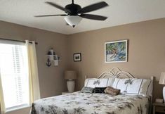 Others 3 156 Pine Cone