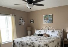 Others 3 156 Pine Cone