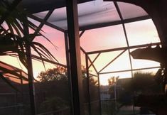 Others 7 156 Pine Cone