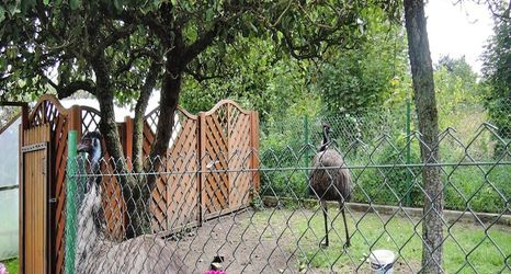 อื่นๆ 2 Holiday Home in Kolczewo Near Baltic Sea