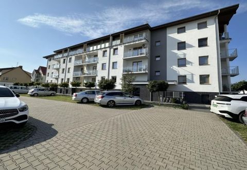 其他 Holiday Studio for 3 People, Dziwnowek