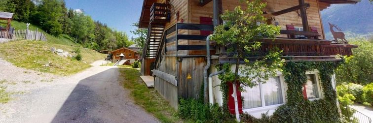 Others Chalet in Wildkogel Near Ski Slopes