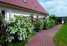 Lain-lain 2 Ferienwohnung in der Mecklenburger Seenplatte