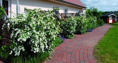 其他 2 Ferienwohnung in der Mecklenburger Seenplatte