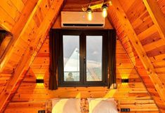 기타 4 Bologina Suit Bungalov