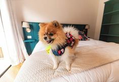 Others 2 Pousada Santa Felicidade