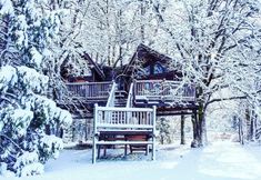 其他 7 Out 'N' About Treehouse Treesort